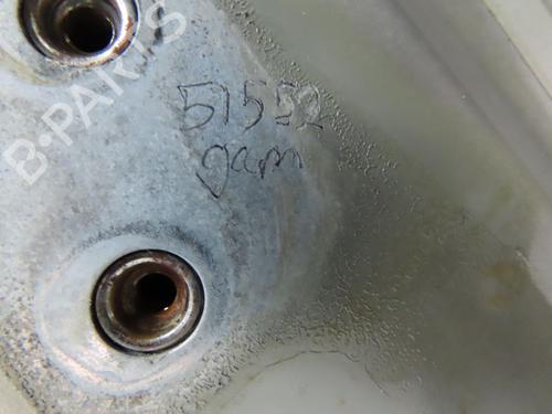 Used Hood RENAULT SCÉNIC III (JZ0/1_) 1.5 dCi (110 hp) 28831015