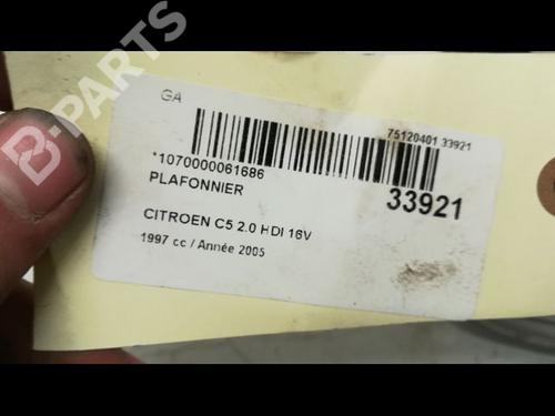 Interior roof light CITROËN C5 II (RC_) 2.0 HDi (RCRHRH) | BP9595066I8 