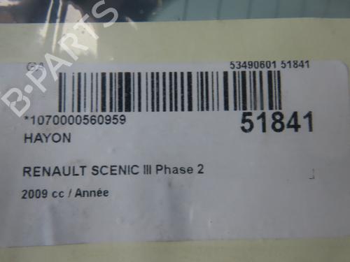Tailgate RENAULT SCÉNIC III (JZ0/1_) 1.4 16V (JZ0F, JZ1V) | BP28832155C6 
