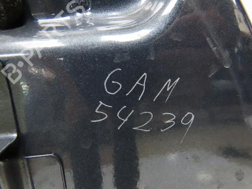 Left front door CITROËN XSARA PICASSO (N68) 1.6 HDi | BP28831317C2