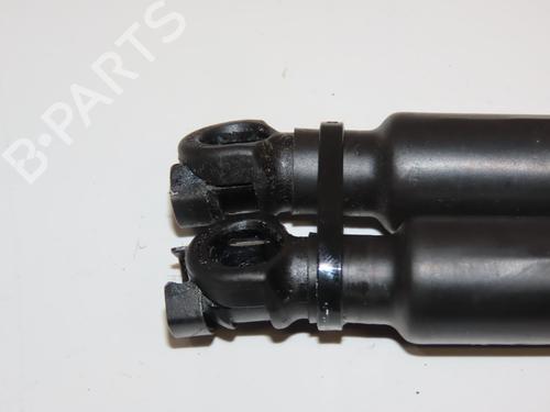 Tailgate lift support RENAULT TWINGO II (CN0_) 1.2 (CN0D) | BP29441816C138 