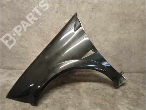 Used Left front fenders RENAULT MEGANE II (BM0/1_, CM0/1_) 1.6 16V (BM0C, CM0C) (113 hp) 9618429