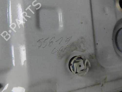 Right front door RENAULT SCÉNIC III (JZ0/1_) 1.9 dCi (JZ0J, JZ1J, JZ1K, JZ1S) | BP31077341C3