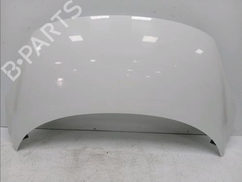 Used Hood RENAULT SCÉNIC III (JZ0/1_) 1.5 dCi (106 hp) 18646074