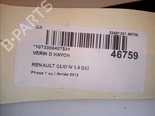 Tailgate lift support RENAULT CLIO IV (BH_) 1.5 dCi 90 | BP14880229C138 
