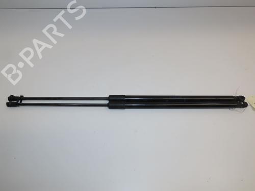 Hood lift support DACIA DUSTER (HM_) 1.3 TCe 150 (HMM3) | BP28831055C139 