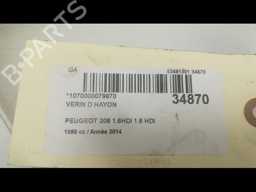 Tailgate lift support PEUGEOT 208 I (CA_, CC_) 1.6 HDi | BP14879618C138 