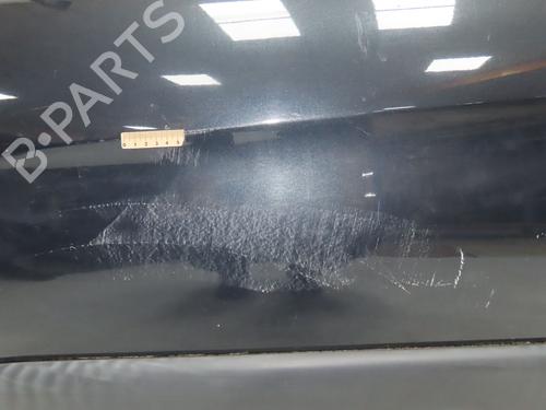 Left front door CITROËN XSARA PICASSO (N68) 1.6 HDi | BP28831317C2