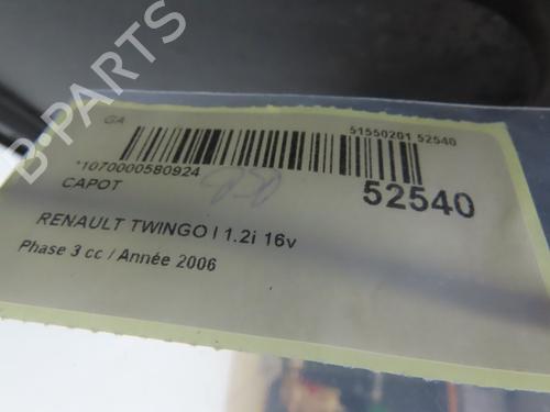 Used Hood RENAULT TWINGO I (C06_) 1.2 (C066, C068) (58 hp) 28831023