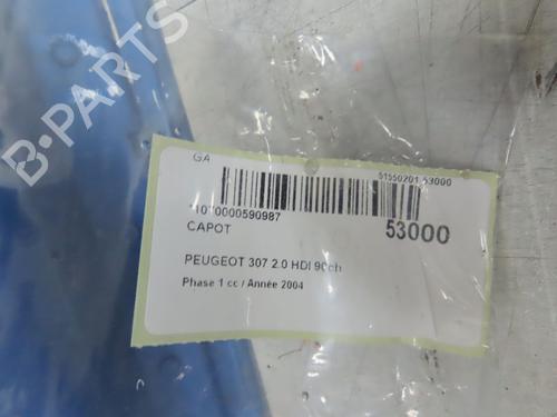 Used Hood PEUGEOT 307 (3A/C) 2.0 HDi 90 (90 hp) 28968384
