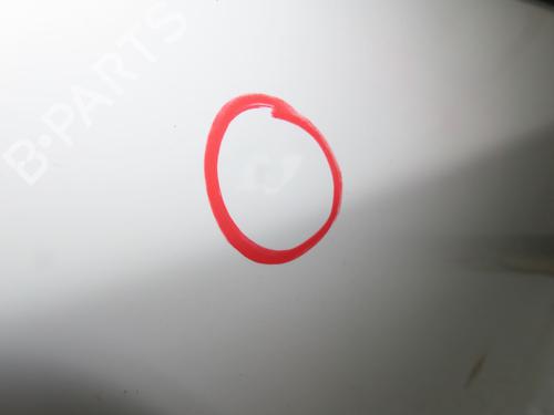 Left rear door FIAT PANDA (169_) 1.3 D Multijet (169AXG1A, 169AXD1A) | BP22996942C4 