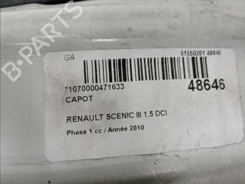 Used Hood RENAULT SCÉNIC III (JZ0/1_) 1.5 dCi (106 hp) 18646074