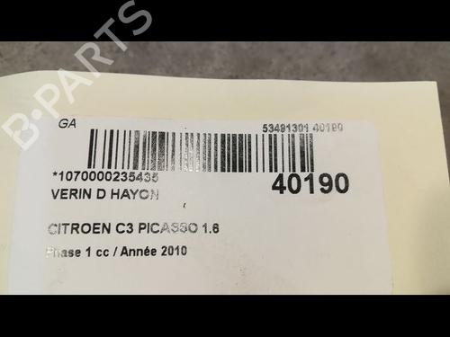 Used Tailgate lift support CITROËN C3 Picasso (SH_) 1.6 HDi (90 hp) 14879921