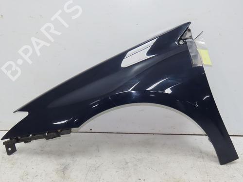 Left front fenders RENAULT LAGUNA III (BT0/1) 2.0 dCi (BT07, BT0J, BT14, BT1A, BT1S) | BP29170478C41 