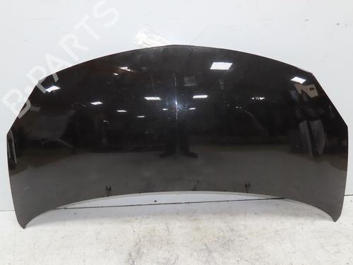hood-renault-twingo-ii-cn0_-2007-31120666 main image