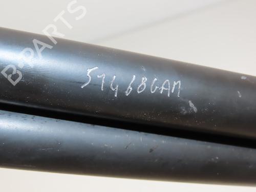 Tailgate lift support PEUGEOT 207 SW (WK_) 1.6 HDi | BP21799841C138 