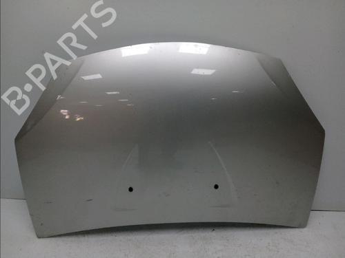 Capot Capot DACIA SANDERO 1.4 (BS0C, BS0A, BS0G, BS1F, BS0E) (75 hp) 17324996 17324996