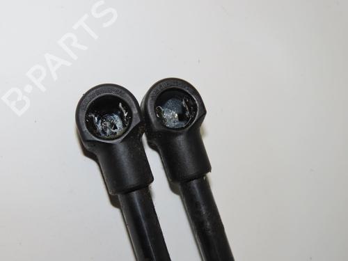 tailgate-lift-support-renault-twingo-ii-cn0_-2007-32150815 main image