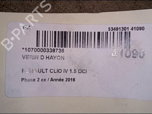 Tailgate lift support RENAULT CLIO IV (BH_) 1.5 dCi 75 | BP14879981C138 