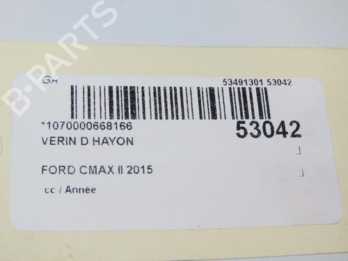 Used Tailgate lift support FORD C-MAX II (DXA/CB7, DXA/CEU) 1.5 TDCi (120 hp) 29318806