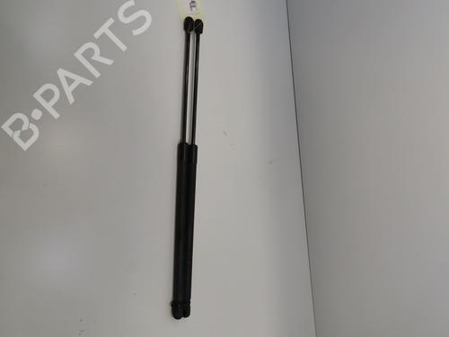 Tailgate lift support SKODA OCTAVIA II (1Z3) 1.9 TDI | BP28832299C138 