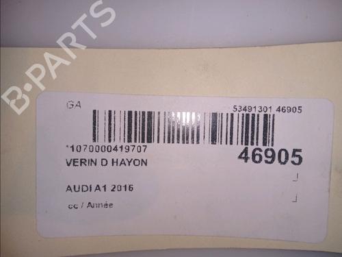 Tailgate lift support AUDI A1 Sportback (8XA, 8XF) 1.4 TDI | BP14880235C138