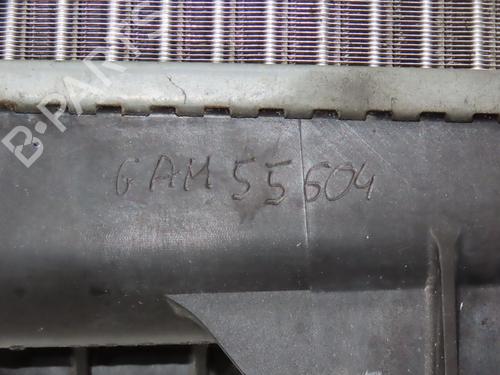 Køler RENAULT MEGANE III Hatchback (BZ0/1_, B3_) 1.6 16V Hi-Flex (BZ03) | BP30117083M31 