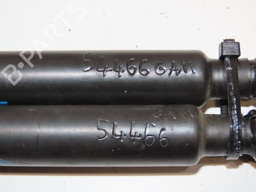 Tailgate lift support RENAULT TWINGO II (CN0_) 1.2 (CN0D) | BP29441816C138 