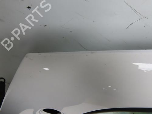 Left front door RENAULT TRAFIC II Van (FL) 2.0 dCi 115 (FL01, FL0U, FL00, FL0H, FL0M) | BP30606534C2 