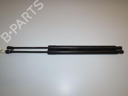 Gasdæmper bagklap RENAULT MODUS / GRAND MODUS (F/JP0_) 1.5 dCi (FP0G, JP0G) (68 hp) 28969295