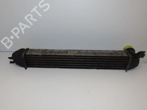 Annen MINI MINI (R56) Cooper D | BP29170433O1