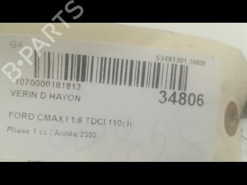 Tailgate lift support FORD FOCUS C-MAX (DM2) 1.6 TDCi | BP14879616C138 