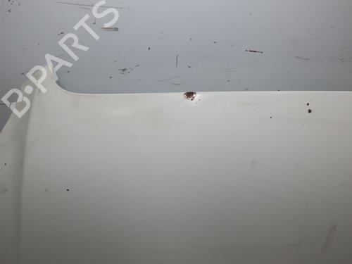 Hood FIAT DOBLO Box Body/MPV (223_) 1.3 D Multijet | BP28831047C1 
