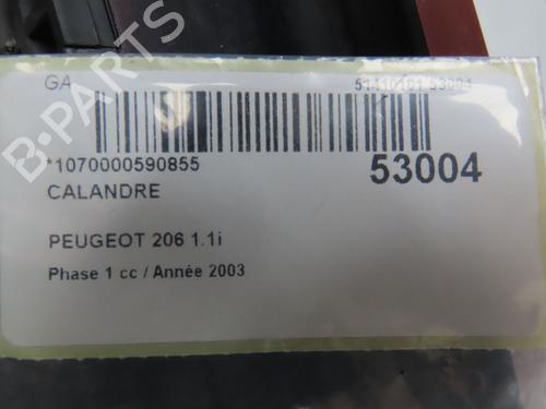 Used Grille PEUGEOT 206 Hatchback (2A/C) 1.1 i (60 hp) 28968270