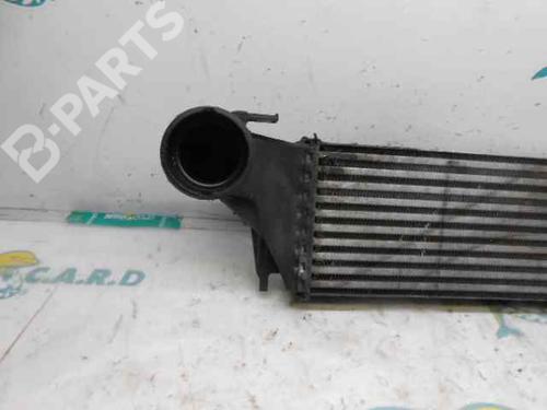 Intercooler BMW X5 (E53)  | BP123983M30 