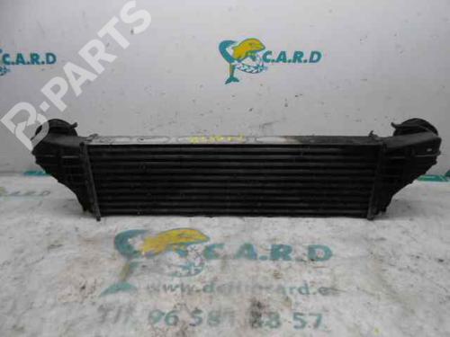 Intercooler BMW X5 (E53)  | BP123983M30 