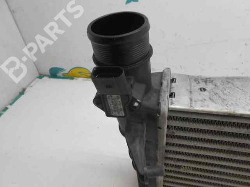 BP123944M30 | Intercooler SEAT EXEO ST (3R5) 2.0 TDI BP123944M30