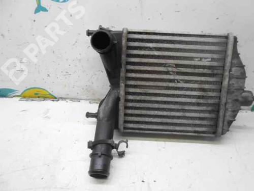 Intercooler FIAT PUNTO (188_)  | BP602492M30 