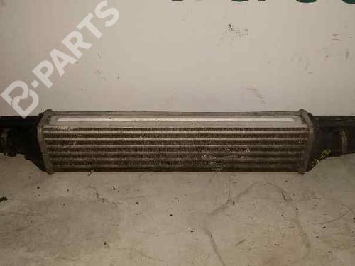 Used Intercooler FIAT PUNTO EVO (199_) [2008-2025]  603634