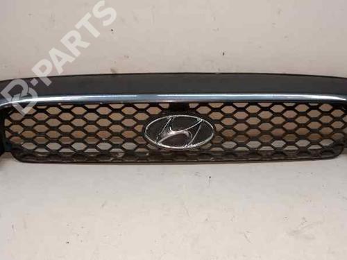 Used Grille HYUNDAI SANTA FÉ I (SM) [2000-2006]  1340495