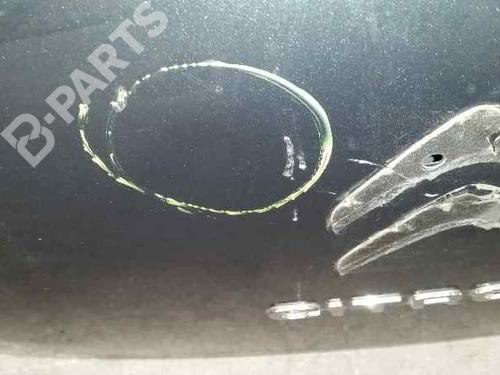 Tailgate CITROËN C3 II (SC_)  | BP704566C6 