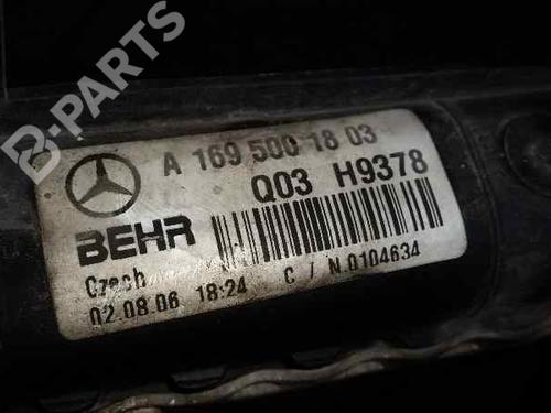 Køler MERCEDES-BENZ A-CLASS (W169)  | BP729275M31 