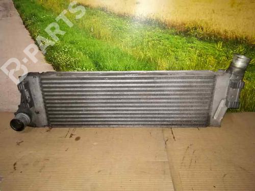 Used Intercooler RENAULT MEGANE II Estate (KM0/1_) [2003-2012]  1857266