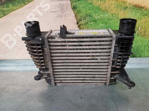 Used Intercooler RENAULT CLIO III Grandtour (KR0/1_) [2007-2025]  657597