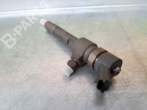 Injector FIAT BRAVO II (198_) 1.9 D Multijet (198AXB1A) | BP1657681M100 