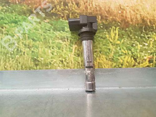 Bobine SKODA FABIA II (542) [2006-2014]  1719514