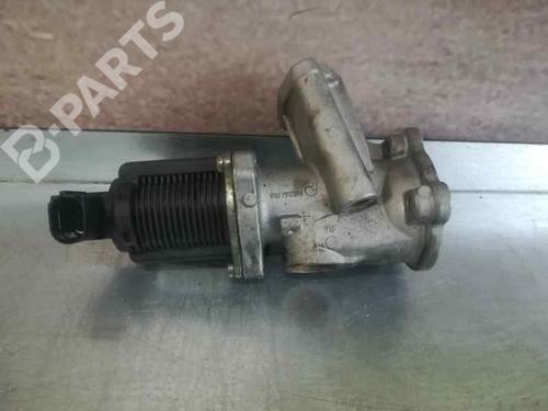 Egr FIAT GRANDE PUNTO (199_) 1.3 D Multijet (199.AXD11, 199.AXD1A, 199.AXD1B,... | BP2589025M69 