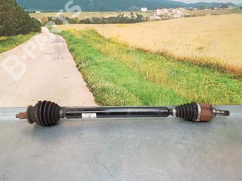Antriebswelle rechts vorne SKODA FABIA III (NJ3) 1.0 2836501 | B-Parts