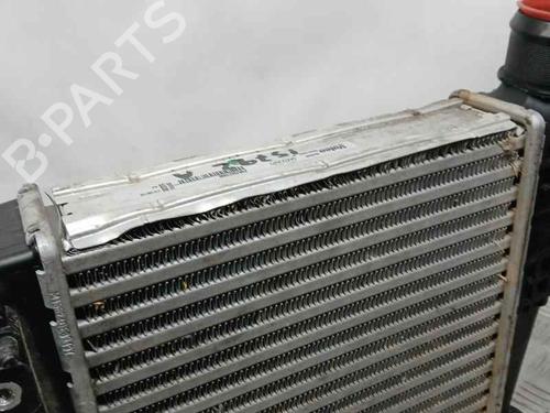 Intercooler CITROËN BERLINGO Box Body/MPV (K9)  | BP24357295M30 
