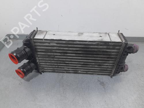 Used Intercooler CITROËN C4 III (BA_, BB_, BC_) 1.5 BlueHDi 130 (BBYHZB) (131 hp) 31862030